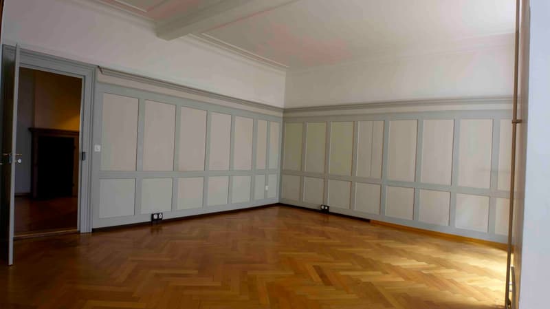 Rental space with charm, in the middle of Schaffhausen's old town, 1 minute walking distance to the train station (4)
