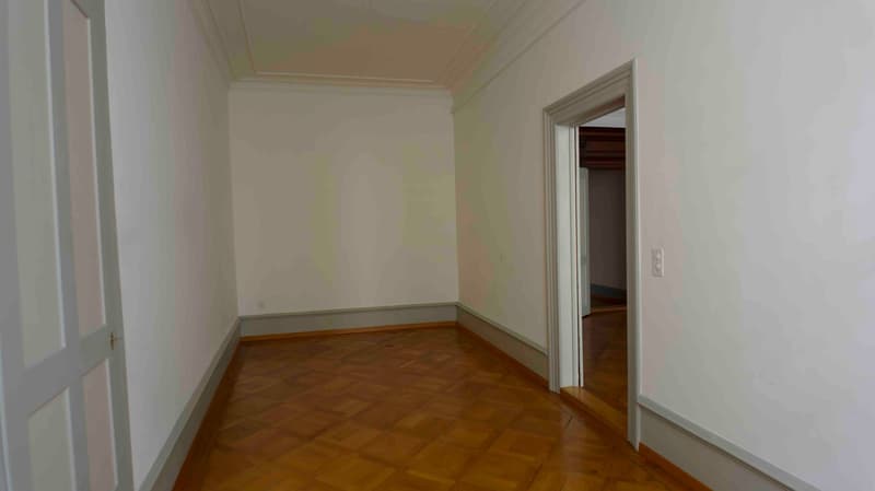 Rental space with charm, in the middle of Schaffhausen's old town, 1 minute walking distance to the train station (3)