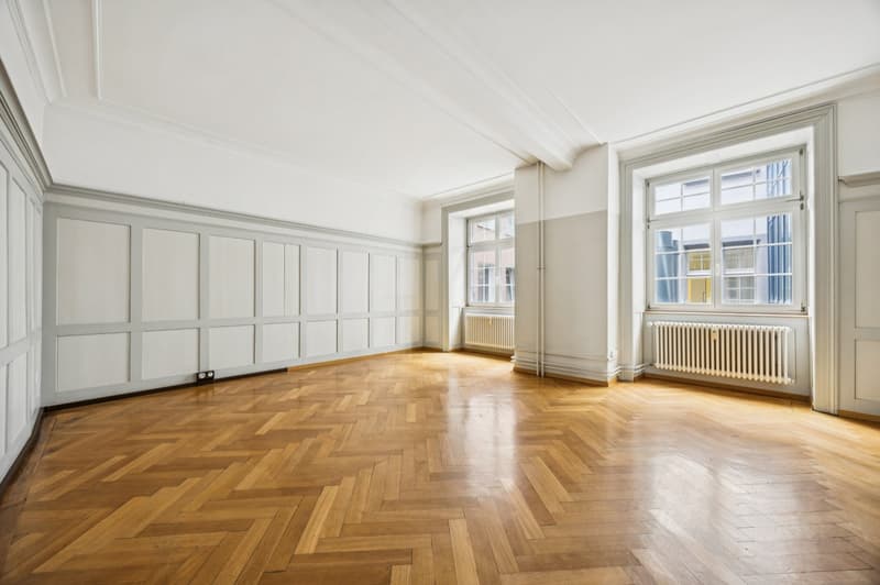 Attraktive Gewerbe-/Praxisfläche an der Vorstadt in Schaffhausen (3)