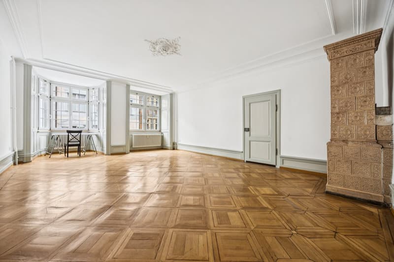 Attraktive Gewerbe-/Praxisfläche an der Vorstadt in Schaffhausen (2)