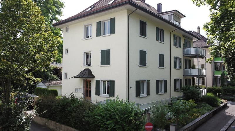 Grosszügige 7.5-Zimmer-Maisonettewohnung im Herzen von Winterthur (1)