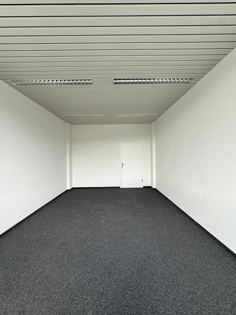 empty room, white walls, white ceiling, white door, gray floor