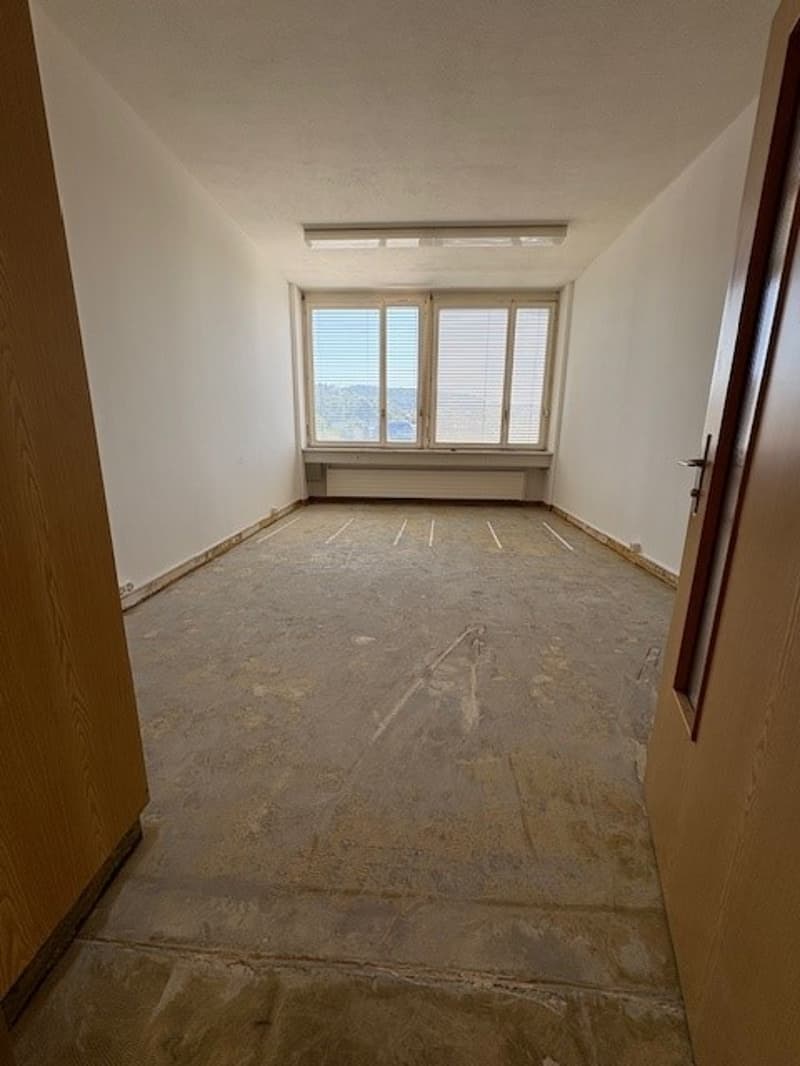 Empty room with white walls, hardwood floor, and large windows
