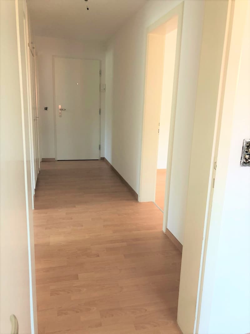 Gemütliche und grosszügige Wohnung an zentraler Lage (4)