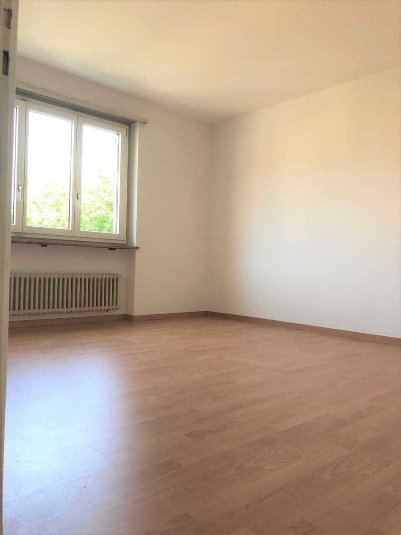 Gemütliche und grosszügige Wohnung an zentraler Lage (6)