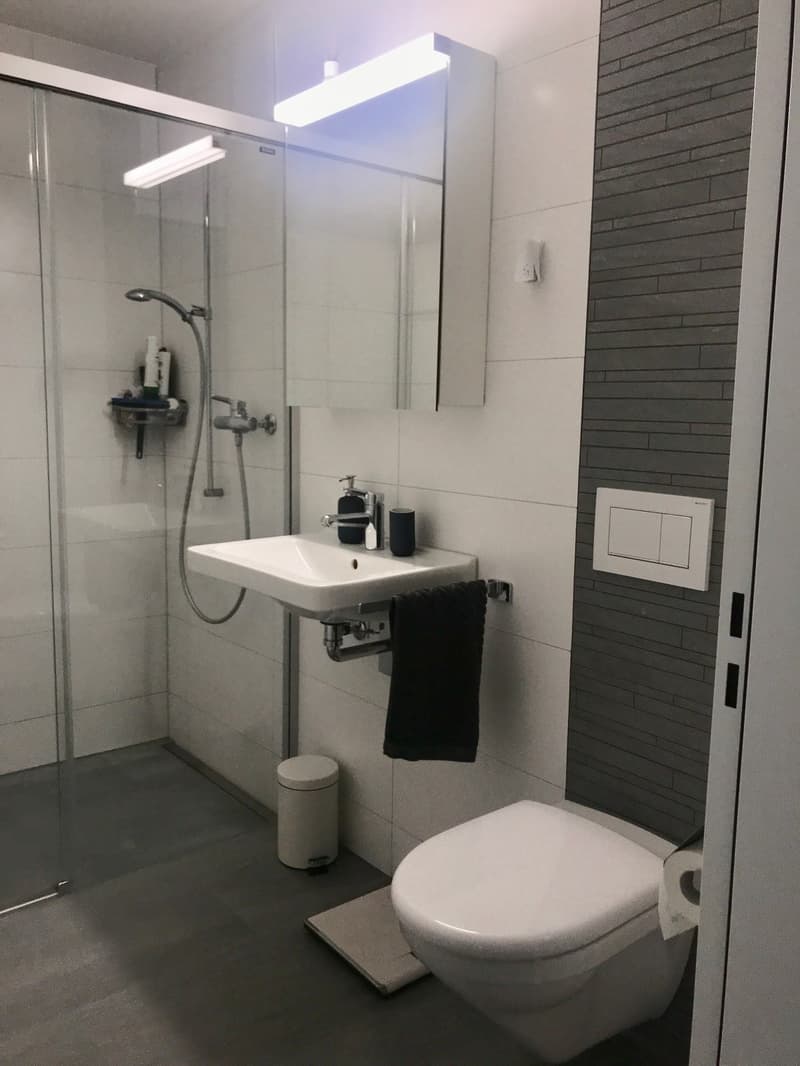 Neuwertige, moderne Wohnung im Erdgeschoss (5)