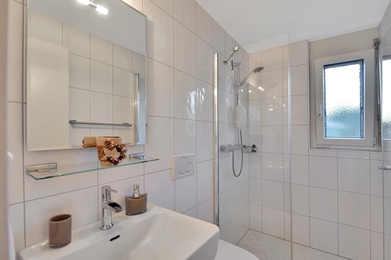 Ruhig gelegenes 6.5-Zimmer-Einfamilienhaus mit herrlicher Weitsicht (16)