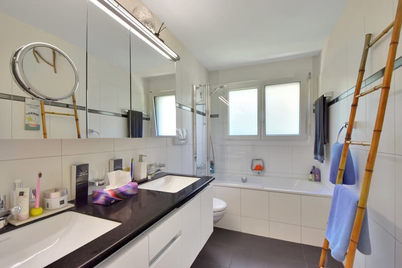 Ruhig gelegenes 6.5-Zimmer-Einfamilienhaus mit herrlicher Weitsicht (15)