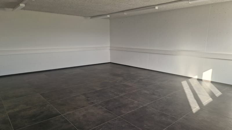Gewerbefläche für Büro, Praxis, Dienstleistungen etc. (2)