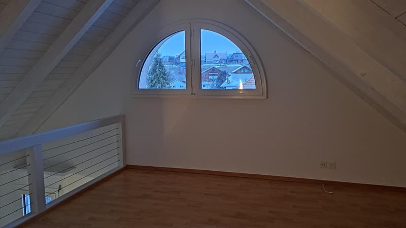Ampio appartamento di 5 locali con galleria a Zollbrück (10)