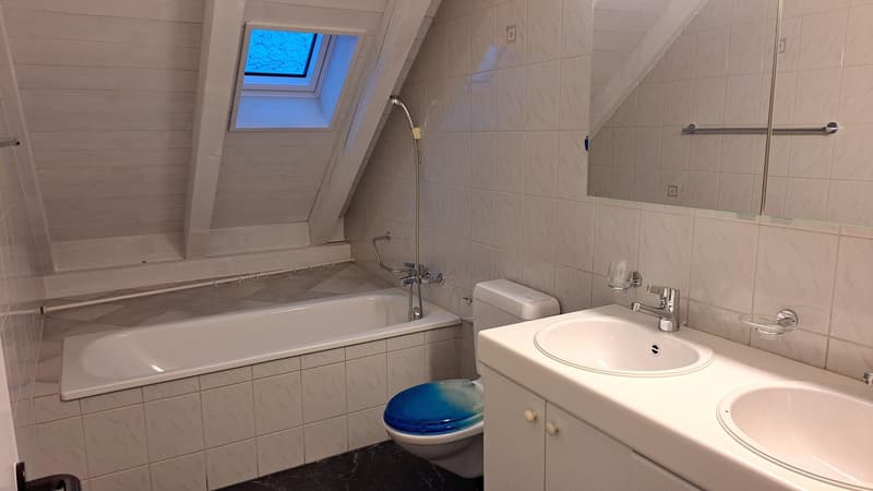 Ampio appartamento di 5 locali con galleria a Zollbrück (6)