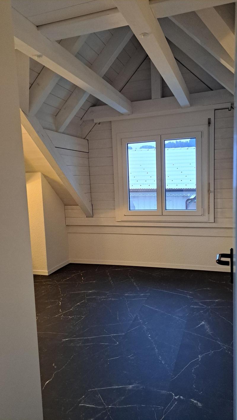 Ampio appartamento di 5 locali con galleria a Zollbrück (5)