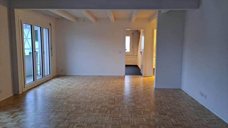 Ampio appartamento di 5 locali con galleria a Zollbrück (7)