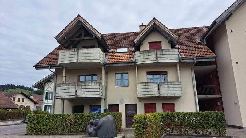 Ampio appartamento di 5 locali con galleria a Zollbrück (2)