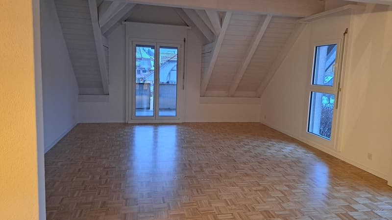 Ampio appartamento di 5 locali con galleria a Zollbrück (8)