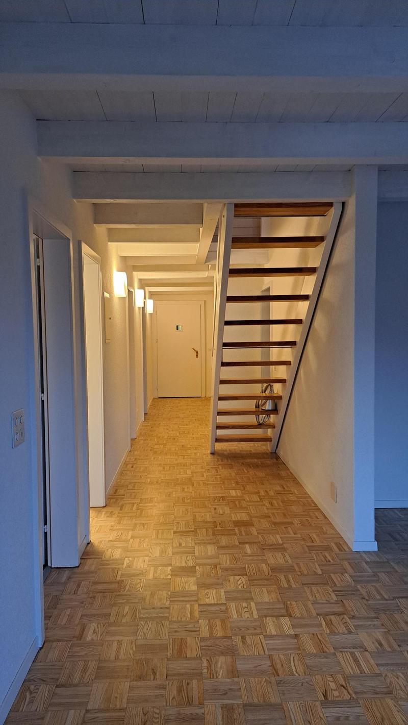 Ampio appartamento di 5 locali con galleria a Zollbrück (1)