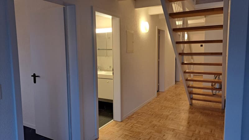 Ampio appartamento di 5 locali con galleria a Zollbrück (11)