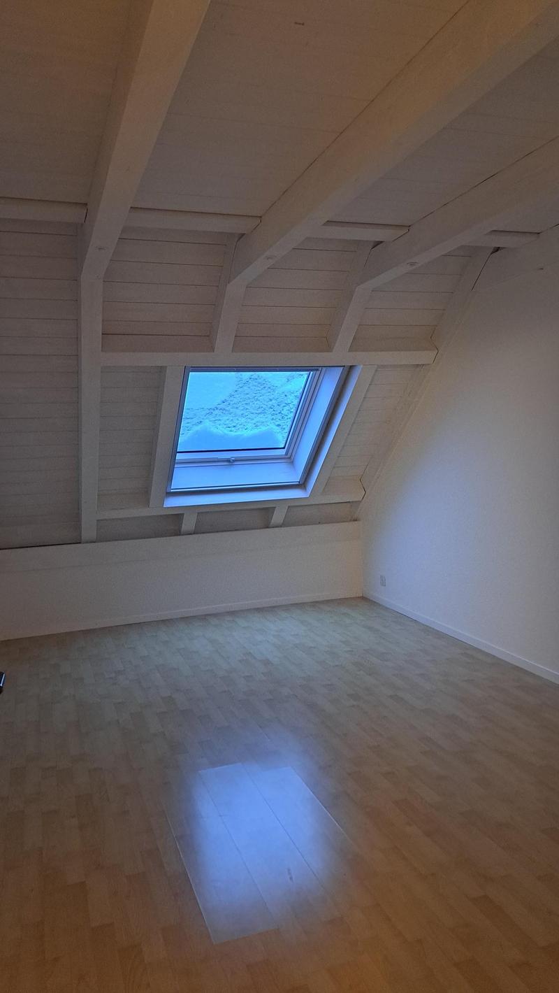 Ampio appartamento di 5 locali con galleria a Zollbrück (9)