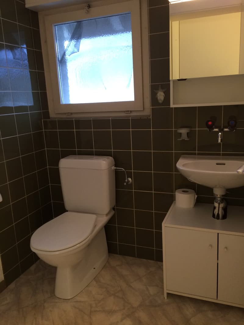 Toilet, sink, tiled walls, window, cabinet