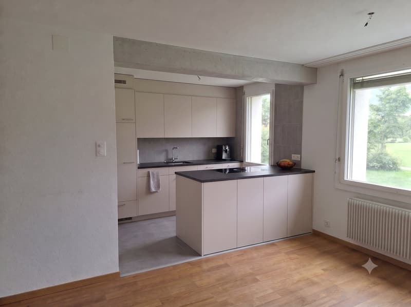 Appartement rénové récemment avec vue sur le lac dans un quartier calme (3)