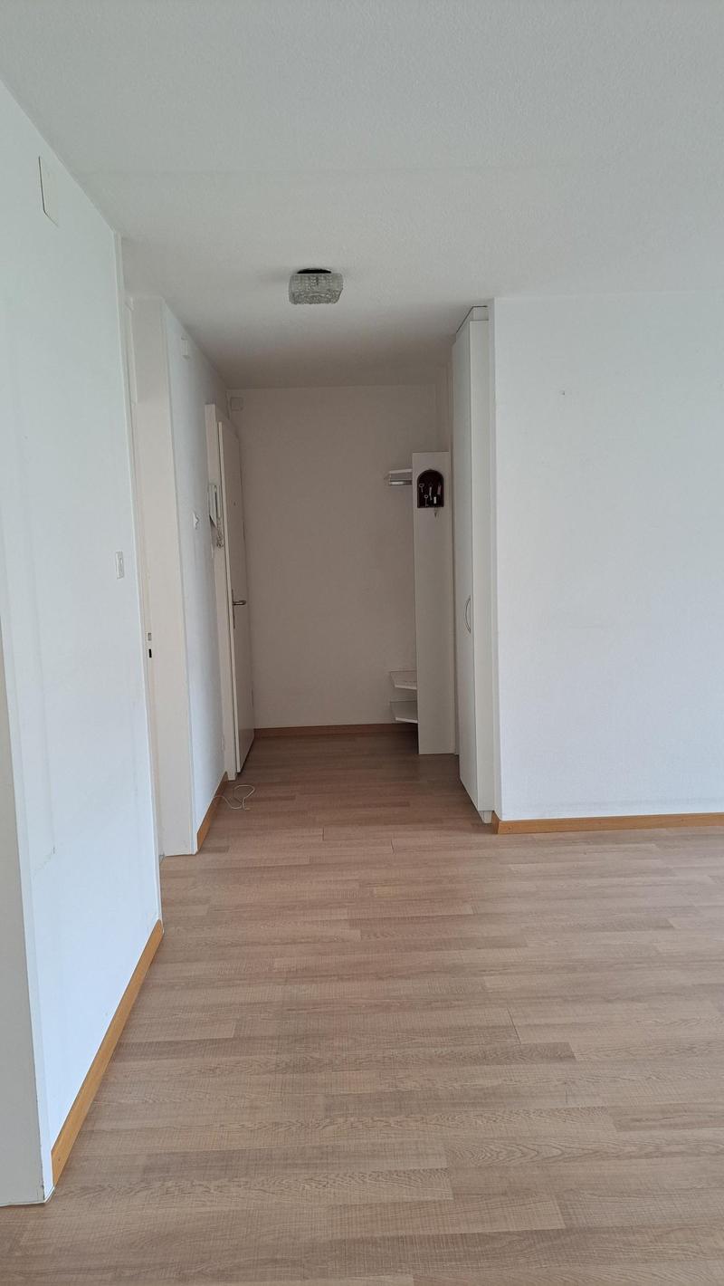 Appartement rénové récemment avec vue sur le lac dans un quartier calme (7)
