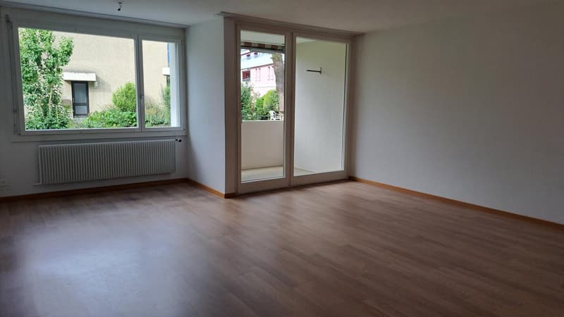 Appartement rénové récemment avec vue sur le lac dans un quartier calme (4)