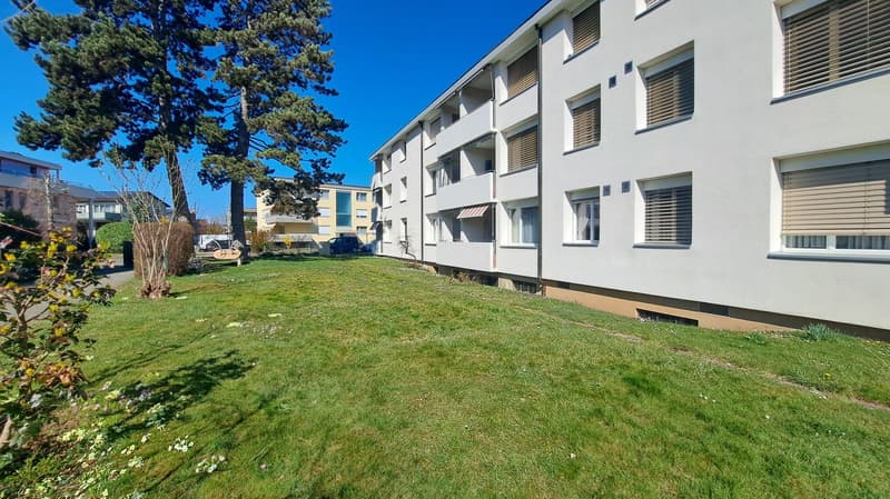 Appartement rénové récemment avec vue sur le lac dans un quartier calme (2)