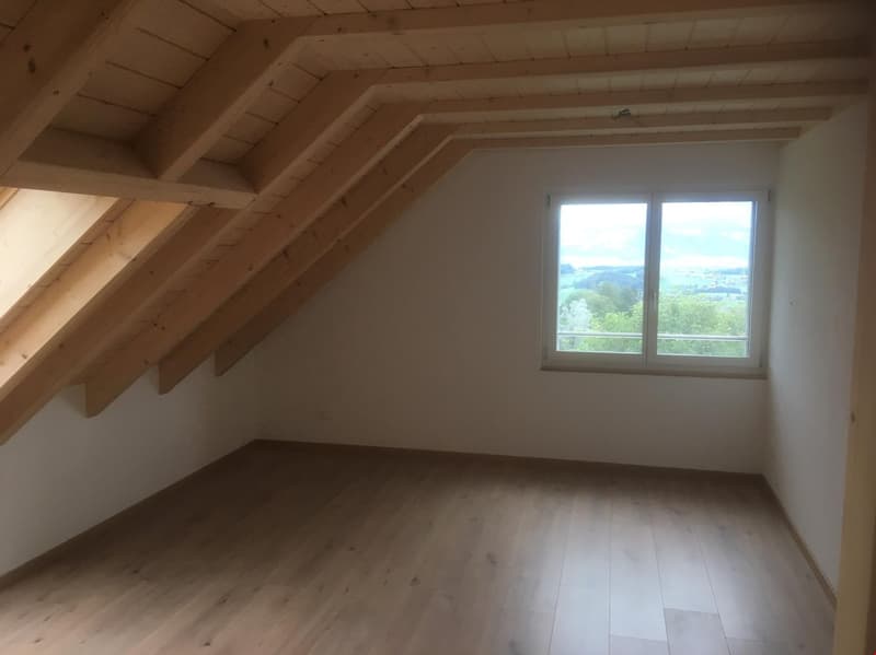 4.5-Zimmer Neubau-Dachwohnung mit Galerie (147m2 Wohnfläche) (6)