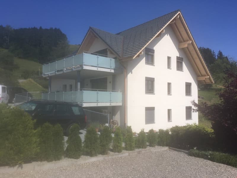 4.5-Zimmer Neubau-Dachwohnung mit Galerie (147m2 Wohnfläche) (11)