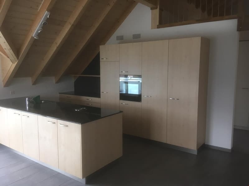 4.5-Zimmer Neubau-Dachwohnung mit Galerie (147m2 Wohnfläche) (2)