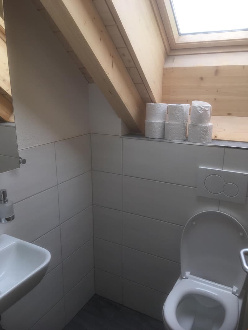 4.5-Zimmer Neubau-Dachwohnung mit Galerie (147m2 Wohnfläche) (9)