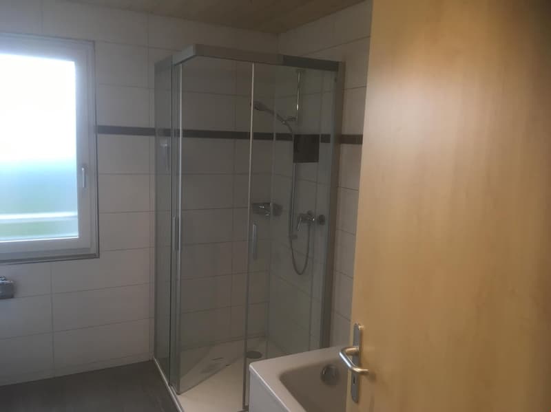 4.5-Zimmer Neubau-Dachwohnung mit Galerie (147m2 Wohnfläche) (8)