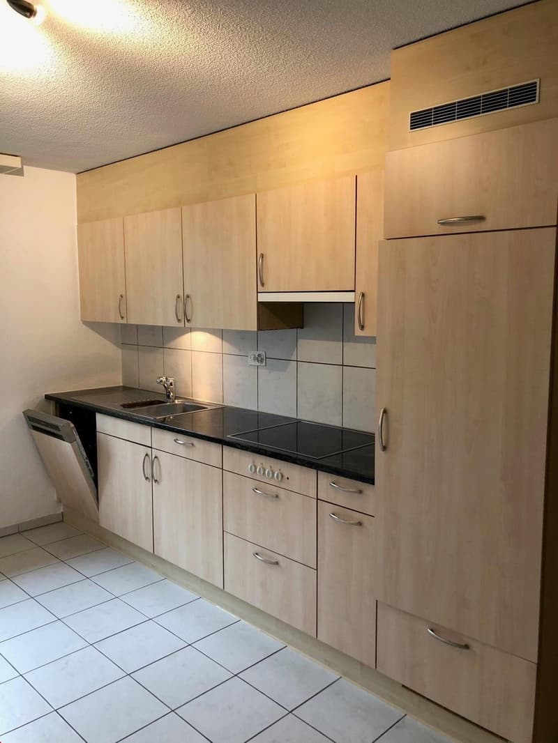 4.5 Zimmer Wohnung mit Balkon und Aussicht (1)