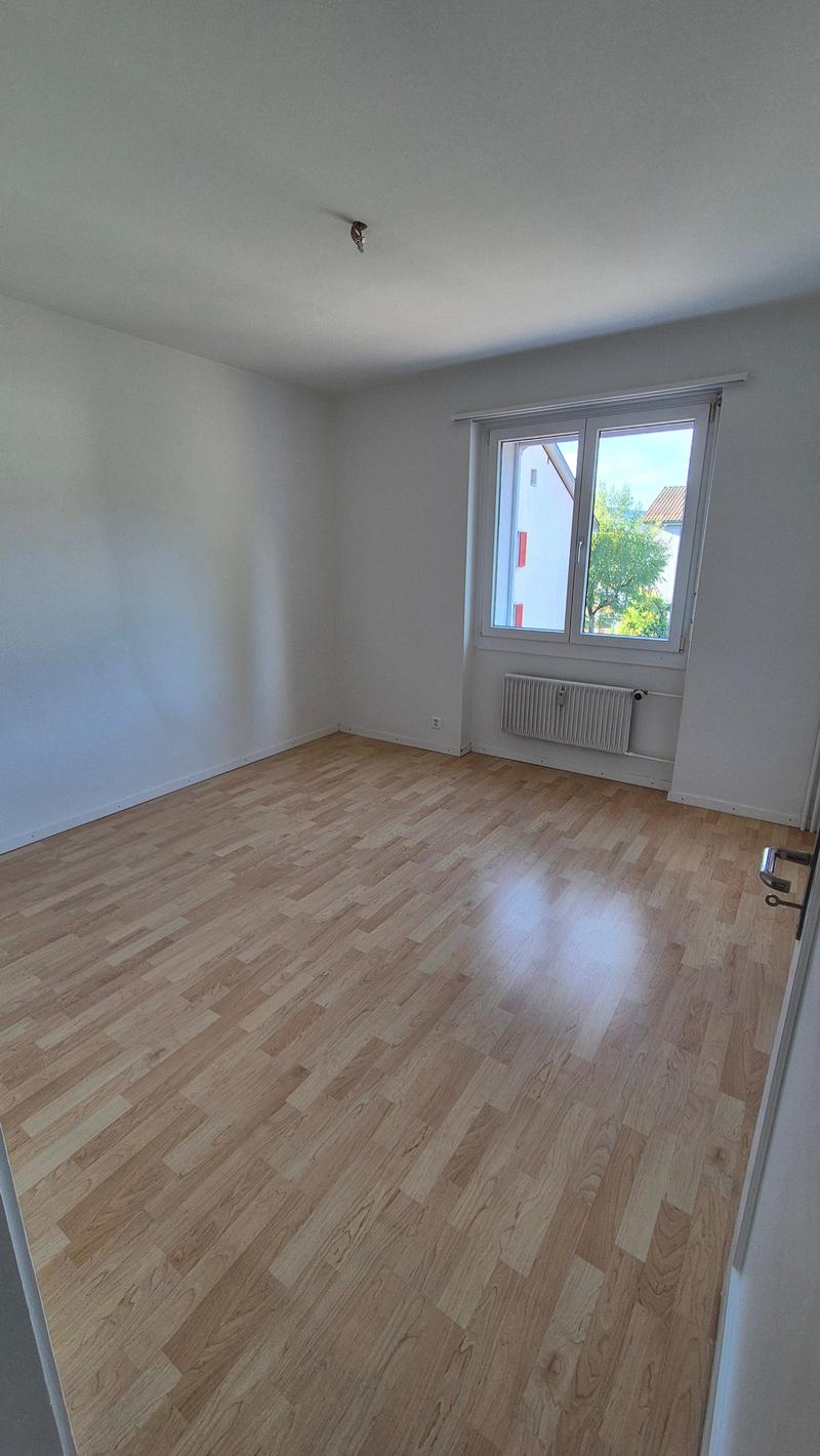 Zimmer1