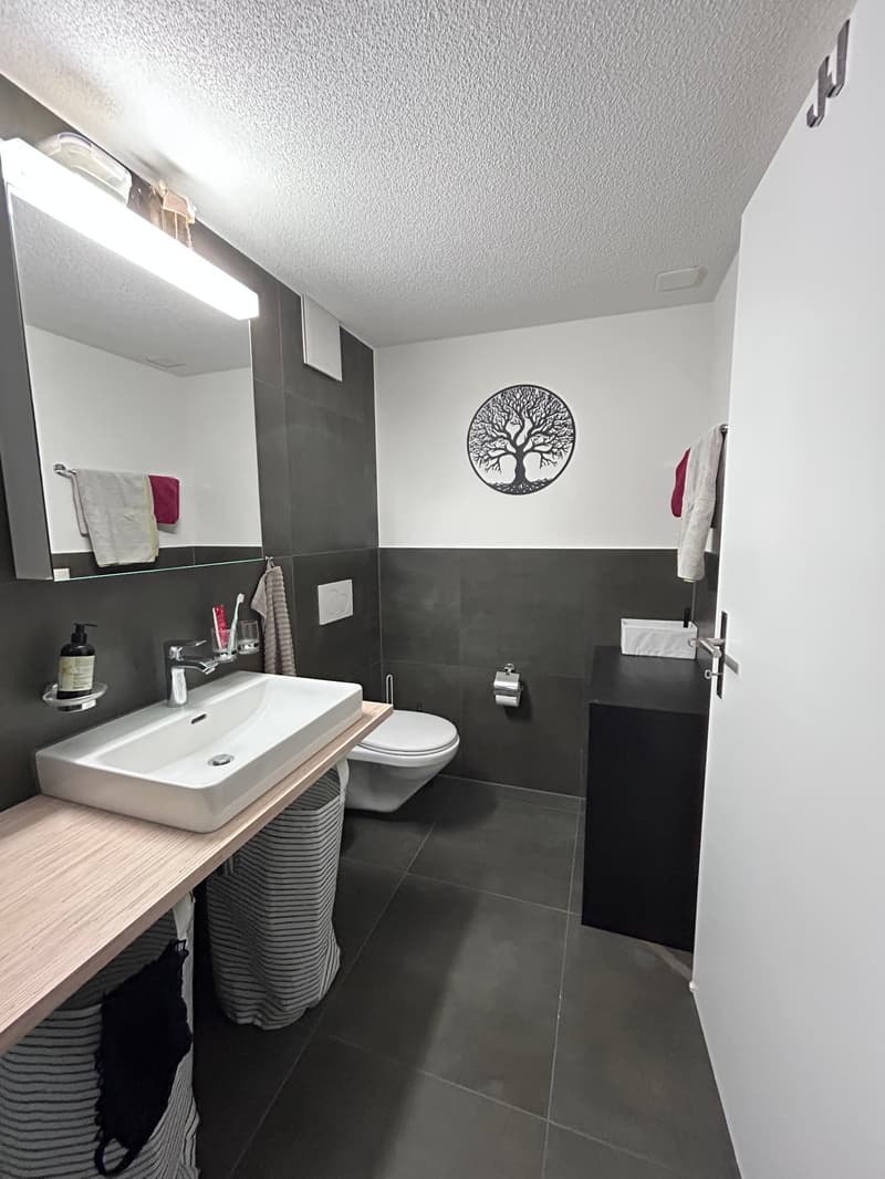 Charmante 2.5-Zimmer-Wohnung im Erdgeschoss (6)