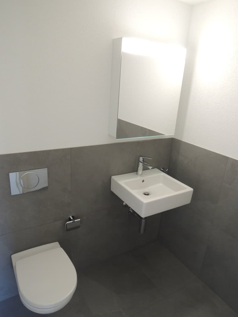 Helle 5.5-Zimmer-Wohnung mit Charme und Blick ins Grüne (4)