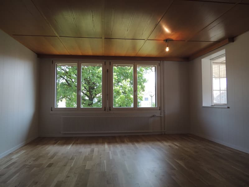 Charmante 3-Zimmer-Wohnung in Zollbrück (12)