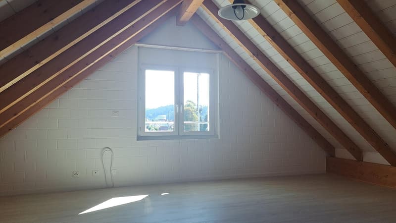 Gepflegte Maisonette-Wohnung auf 3 Etagen (19)