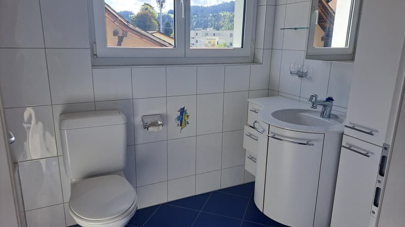 Gepflegte Maisonette-Wohnung auf 3 Etagen (9)