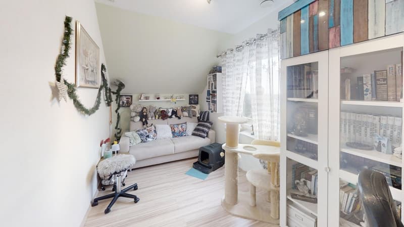 Interior with white walls, hardwood floor, white couch, cat trees, cat condo, bookshelf, toys, desk, chairs, white curtains, holiday decorations.