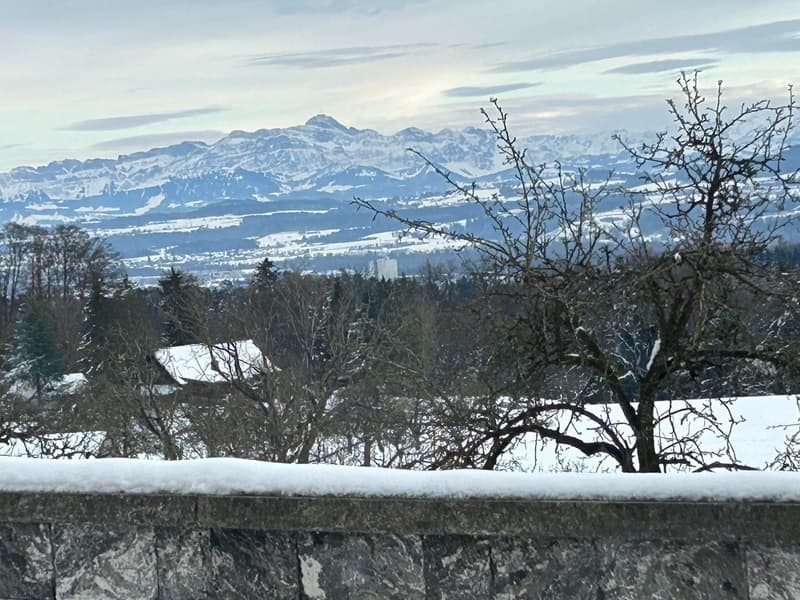 Winter landscape with mountains, snowy trees, stone wall
