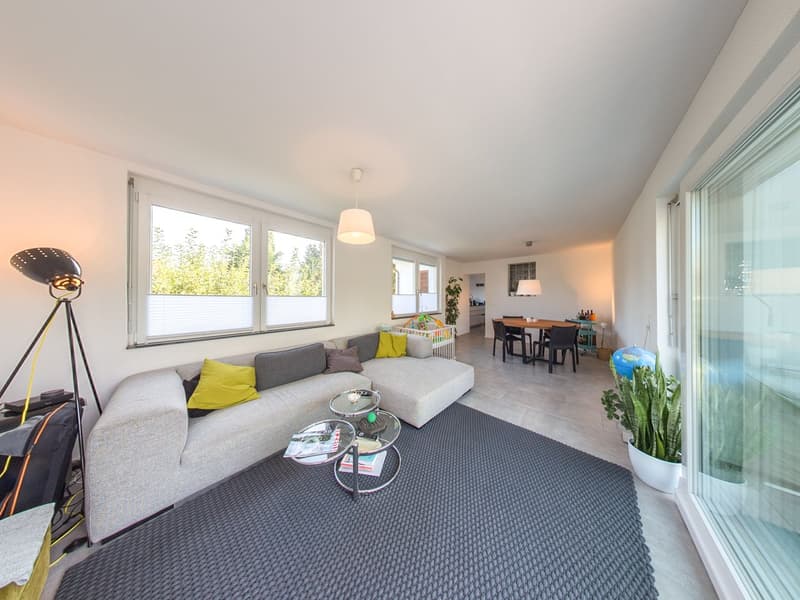 modern living room with gray sofa, glass coffee table, large windows, floor lamp, potted plant, carpet