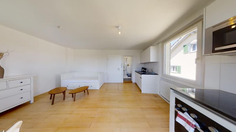 Studio möbliert mitten im Zentrum mit grosser Terrasse (6)