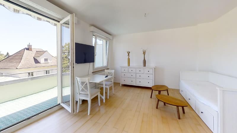 Studio möbliert mitten im Zentrum mit grosser Terrasse (10)