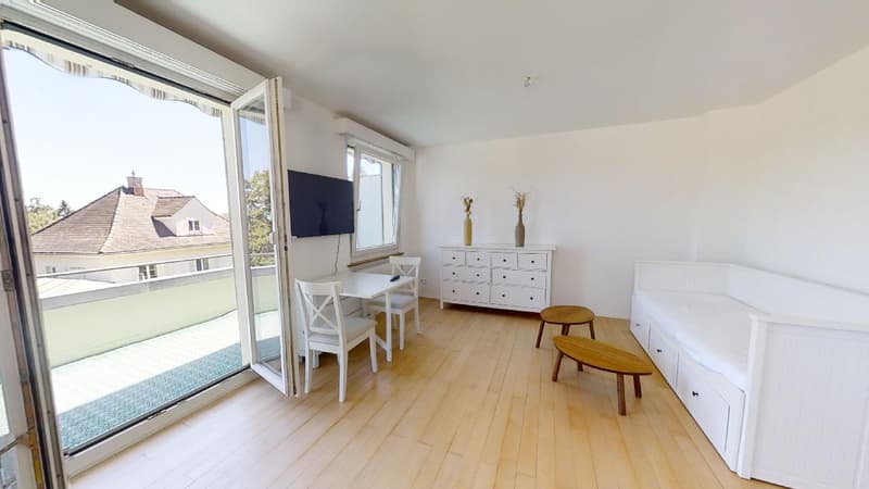Studio möbliert mitten im Zentrum mit grosser Terrasse (1)