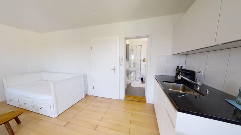 Studio möbliert mitten im Zentrum mit grosser Terrasse (3)