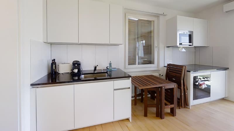 Studio möbliert mitten im Zentrum mit grosser Terrasse (8)