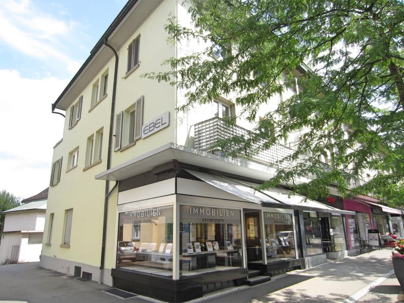 Appartement duplex en mansarde de bâtiment ancien rénové sur le boulevard: 500m jusqu'à Konstanz, 700m jusqu'à la gare (3)