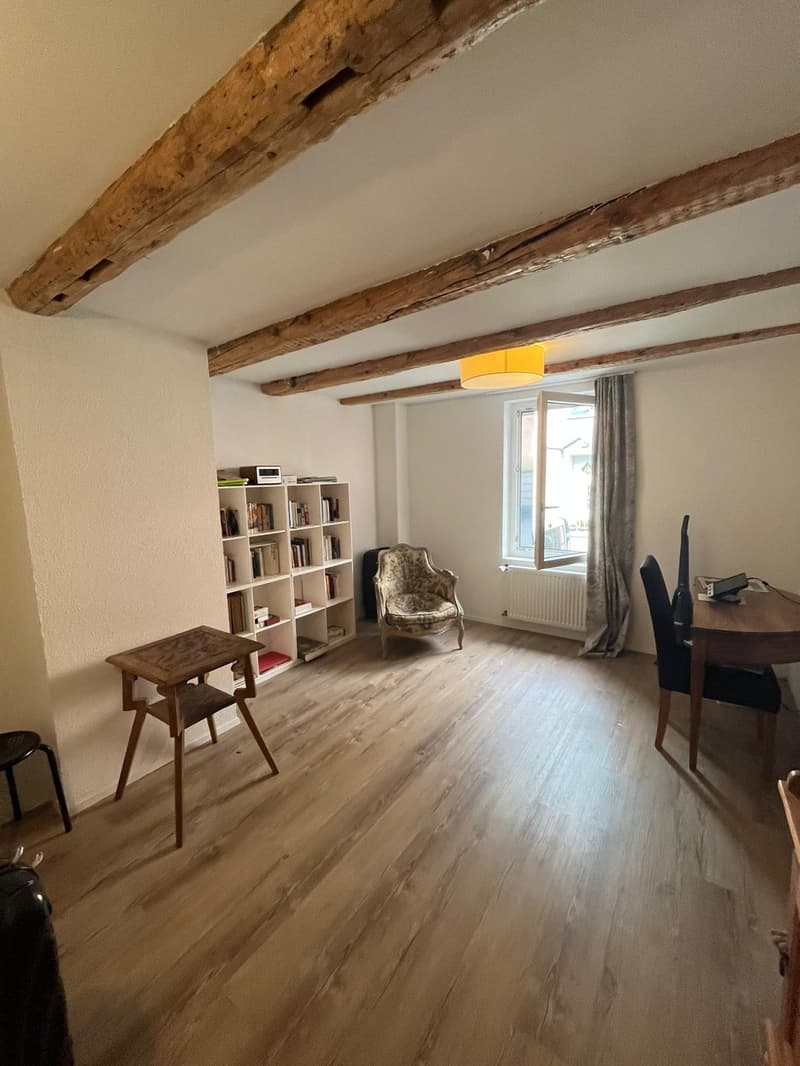 Renovierte Wohnung an der Stadtgrenze zu Konstanz (1)