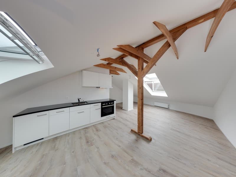 Neu erstellte Dachwohnung mit Dachbalkonfenster (2)